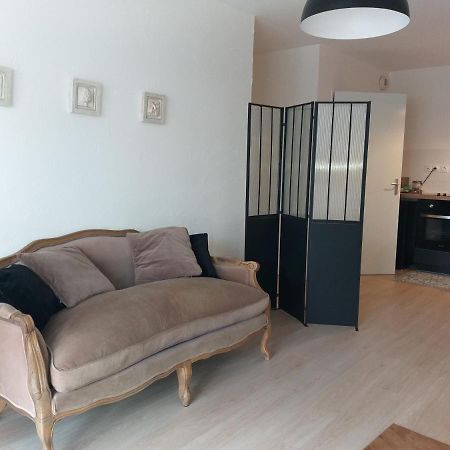 Le Savoie Appartement 2 Chambres 3 Couchages ,Balcon Et Parking Prive Bellegarde-sur-Valserine Ngoại thất bức ảnh